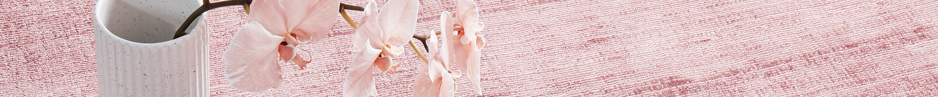 Bliss Denim