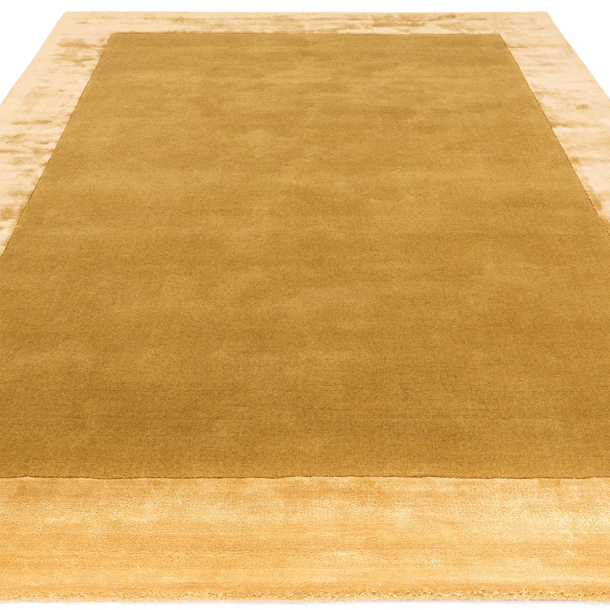 Asiatic Ascot Gold
