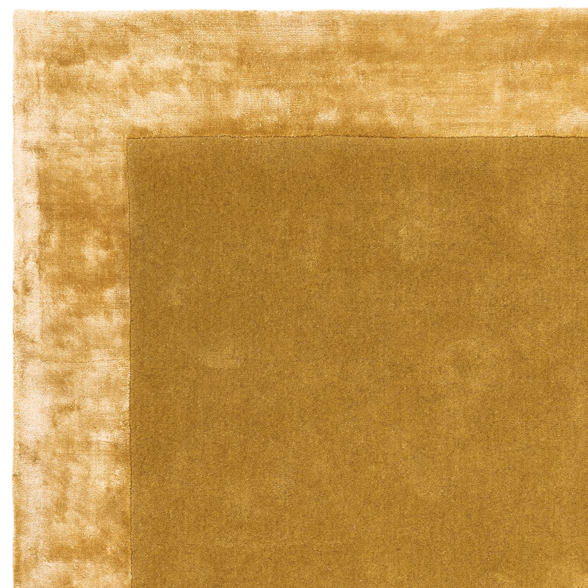 Asiatic Ascot Gold