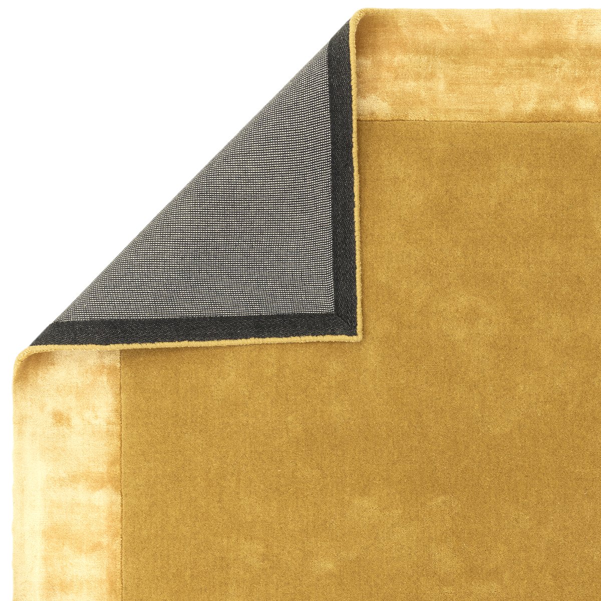 Asiatic Ascot Gold