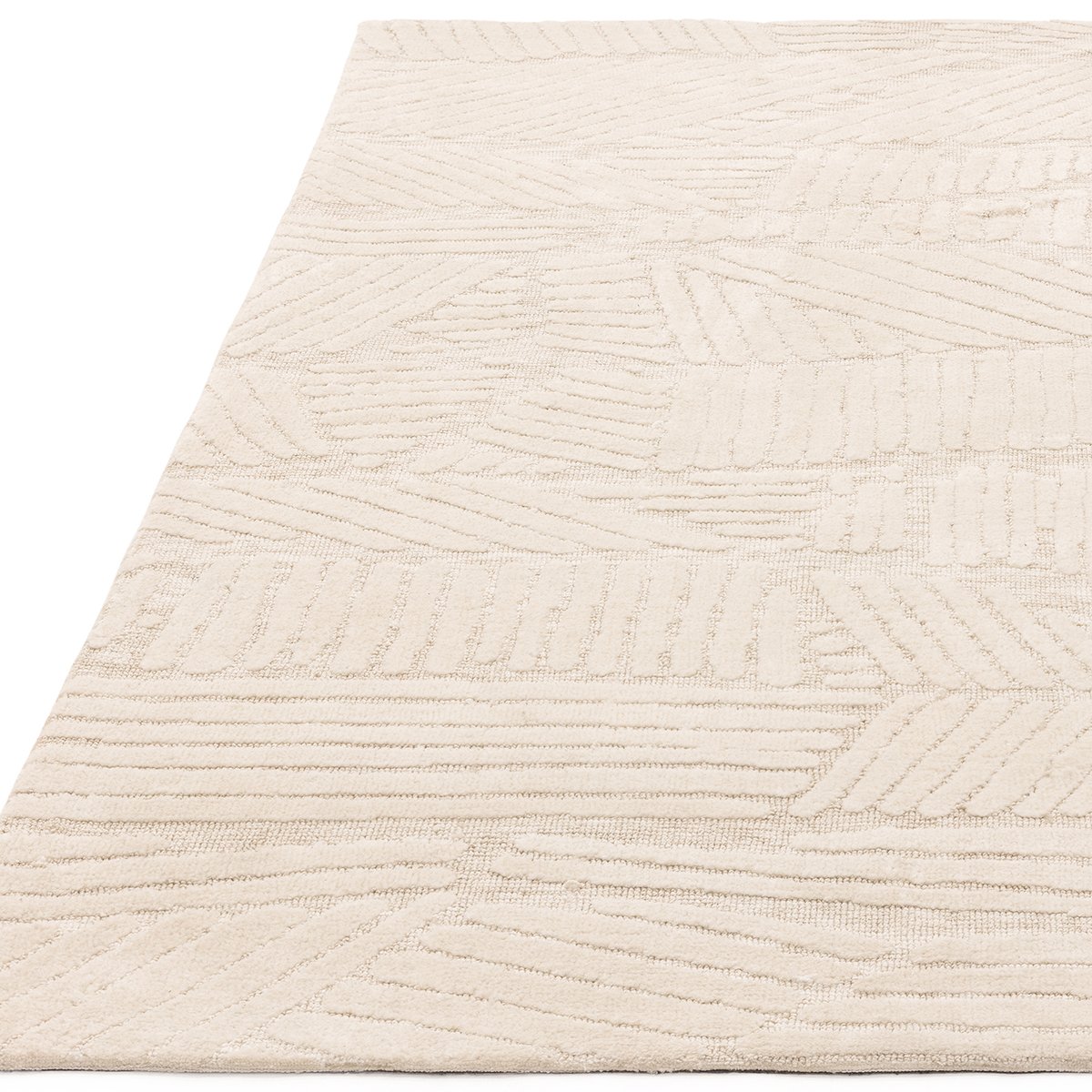 Asiatic Mason Trapezium