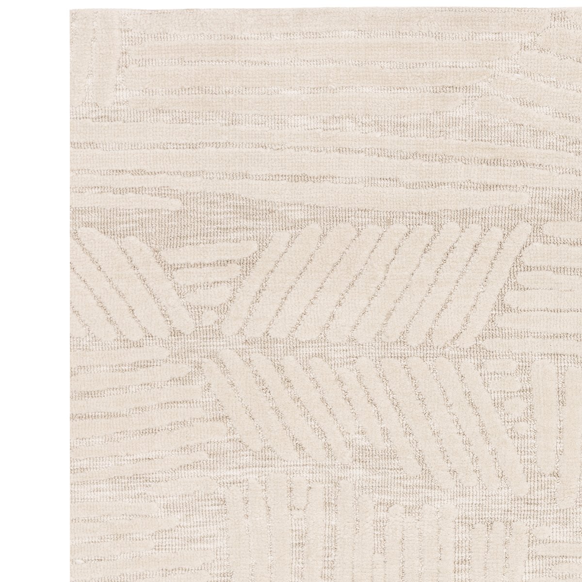 Asiatic Mason Trapezium