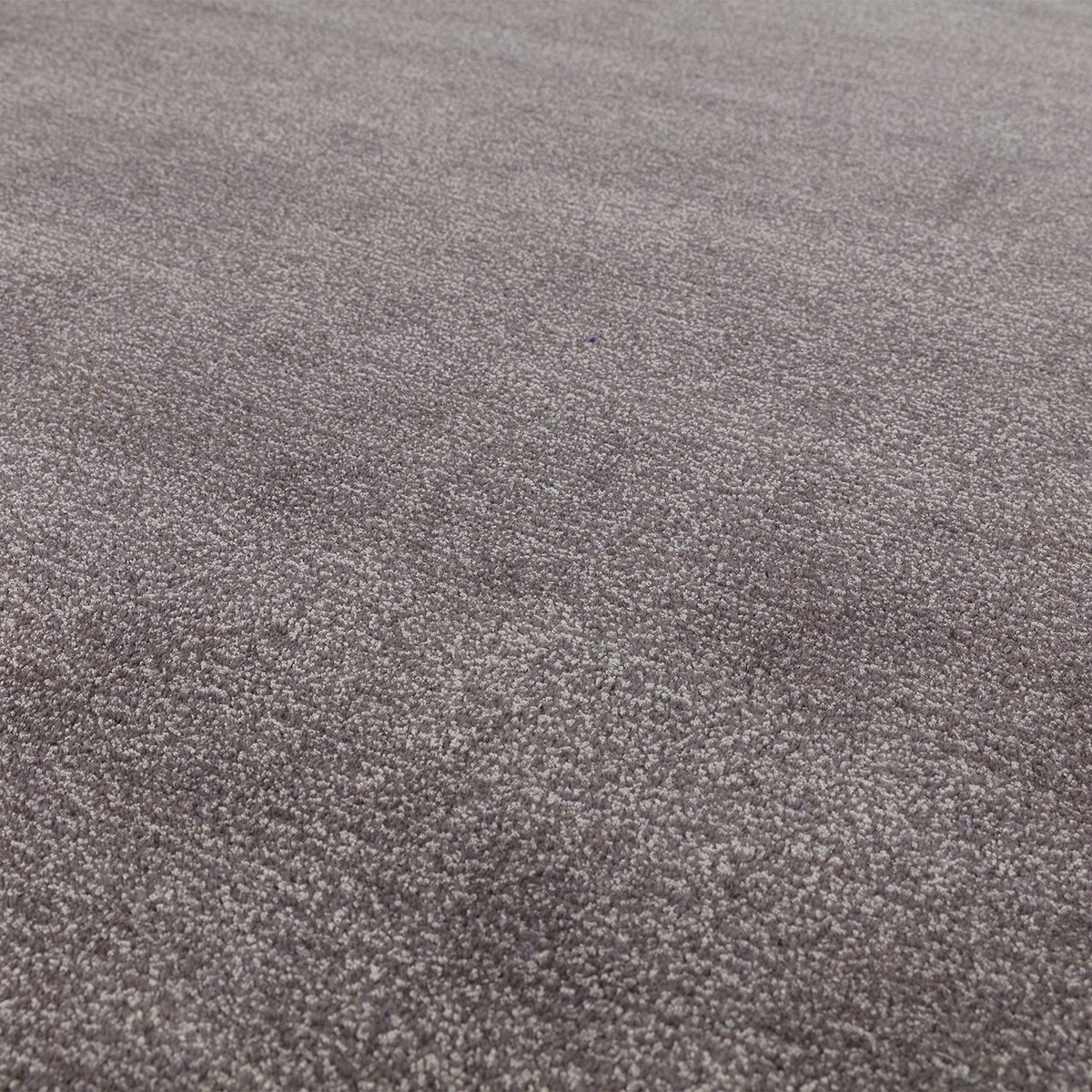 Asiatic Rise Charcoal