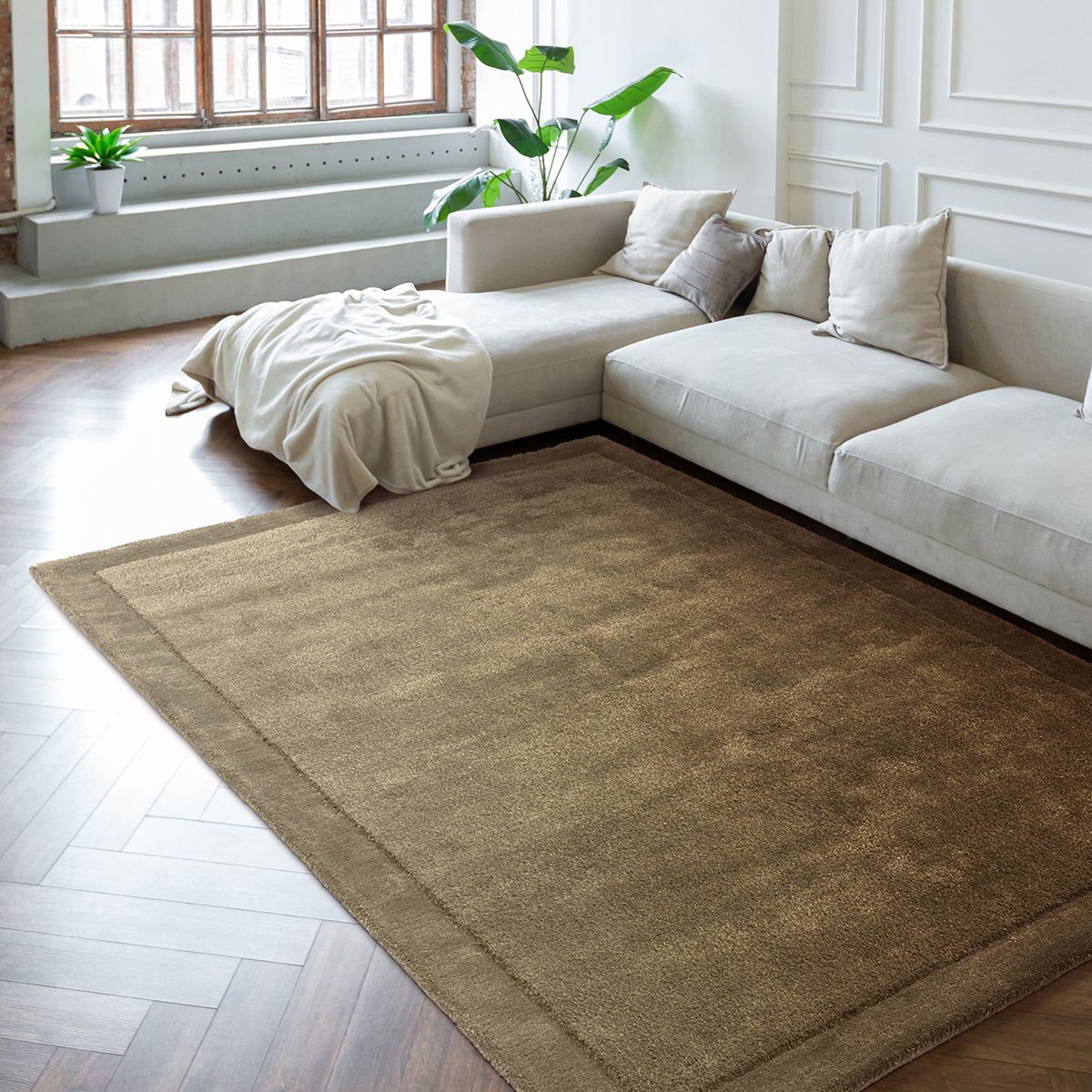 Asiatic Rise Olive