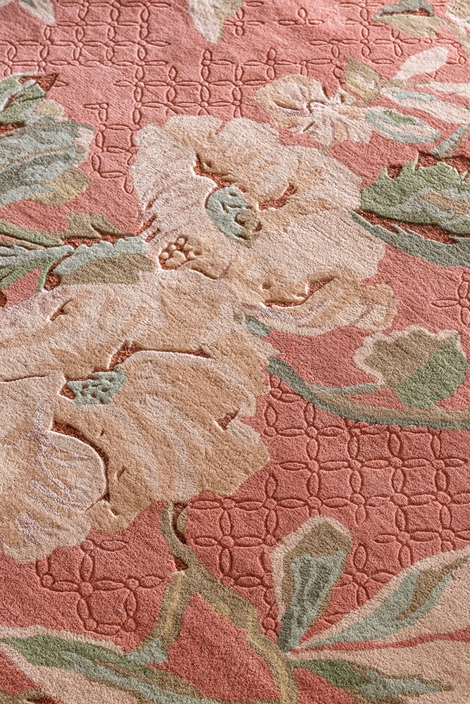 Laura Ashley Aylworth Trail Terracotta Orange 078603