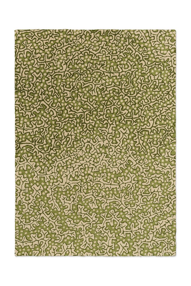 Sanderson Truffle Olive Outdoor 446007