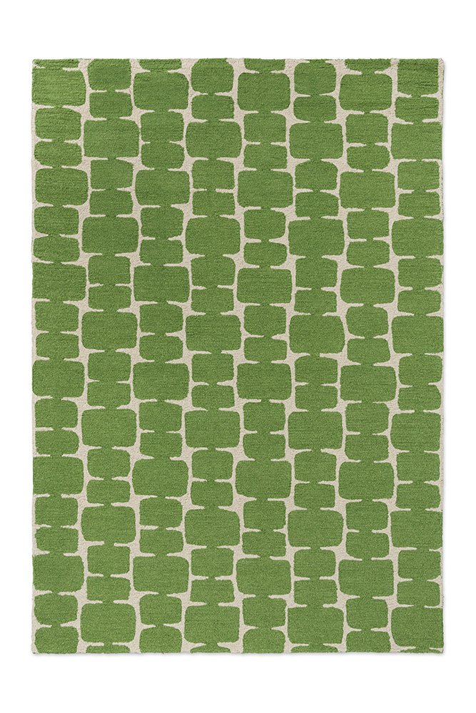 Scion Little Lohko – Juniper 124207