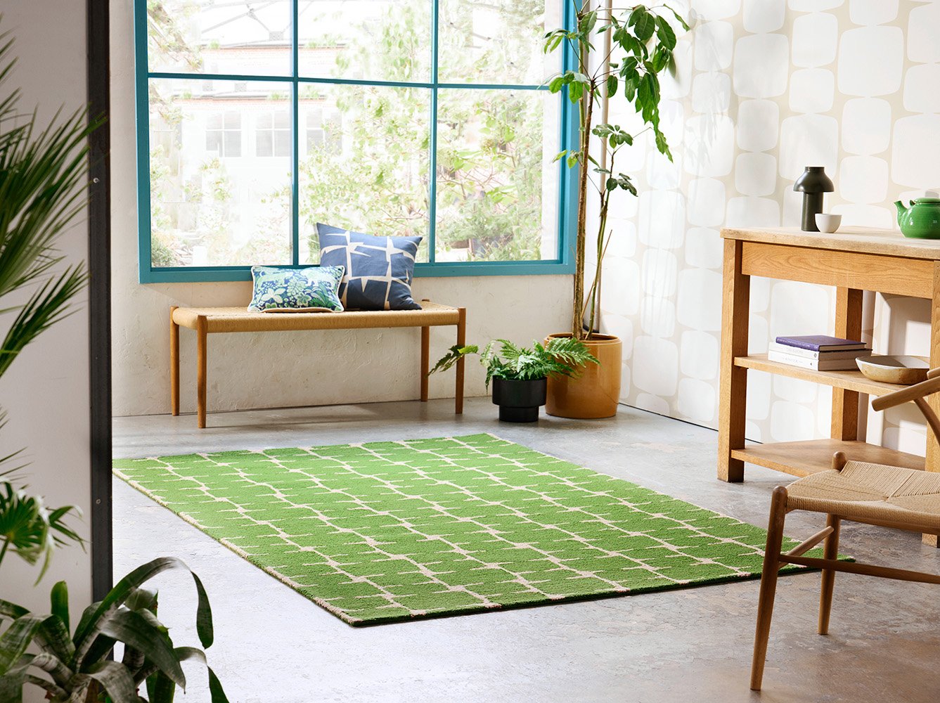 Scion Little Lohko – Juniper 124207