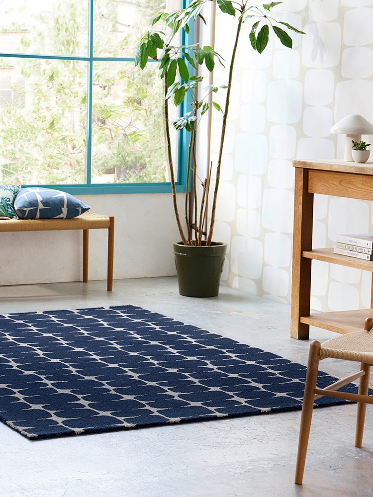 Scion Little Lohko – Indigo 124208