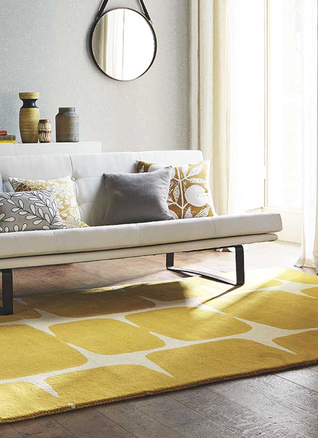 Scion Lohko Honey 25806