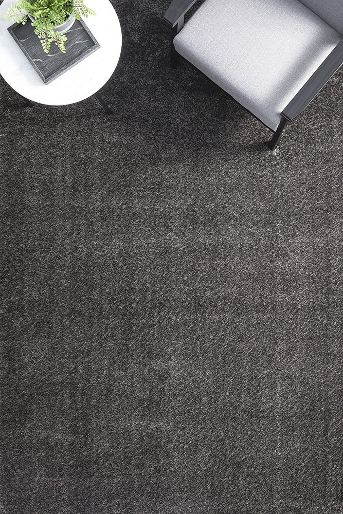 Sienna Seal Grey