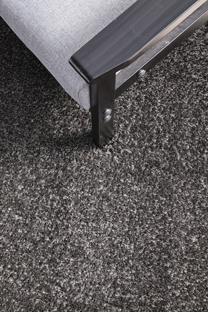 Sienna Seal Grey